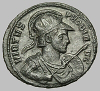 Bust D7a