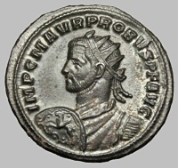 Bust F8varb