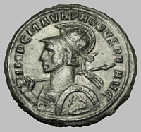Bust E1