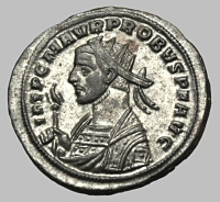 Bust H2