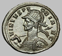 Bust E1