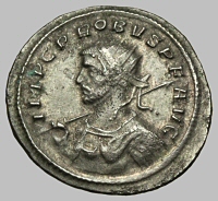 Bust F5a