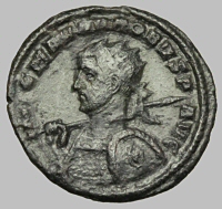 Bust F1a