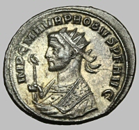 Bust H2