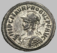 Bust E1