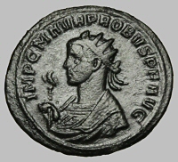 Bust H2