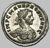 Bust B