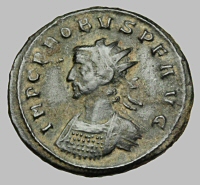 Bust B1
