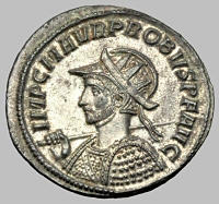 Bust E1