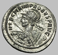 Bust E8var