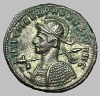 Bust E1