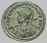 Bust E1