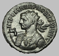 Bust F5a