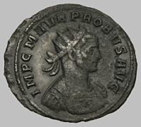 Bust B