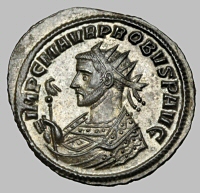 Bust H2