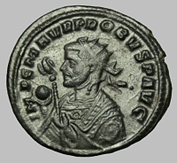 Bust H26
