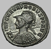 Bust E1