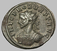 Bust B1