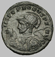 Bust E6horse