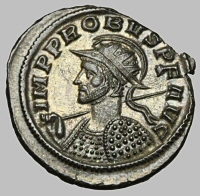 Bust E1