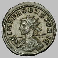 Bust F5a