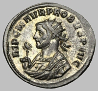 Bust H2