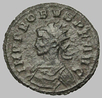Bust B1