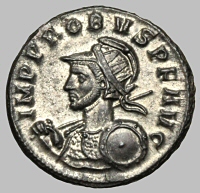 Bust E1