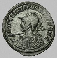 Bust E1