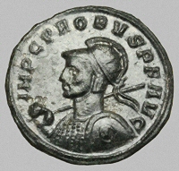 Bust E1