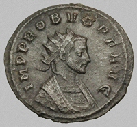 Bust H7