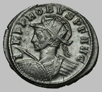 Bust E2