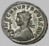 Bust H2