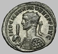 Bust G1