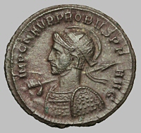 Bust E1