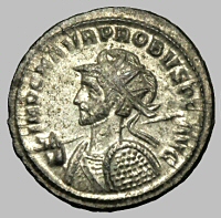 Bust E1