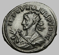 Bust H15