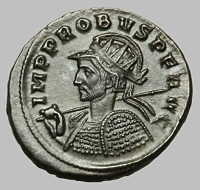 Bust E1