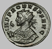 Bust H2