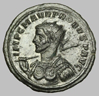Bust F5a