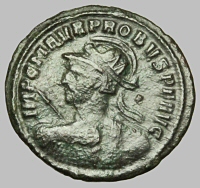 Bust E8