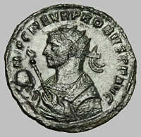 Bust H26