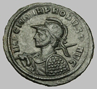 Bust E1b