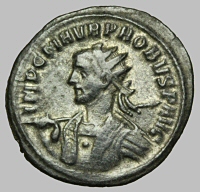 Bust F5a