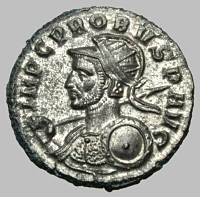 Bust E1