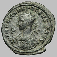 Bust H2