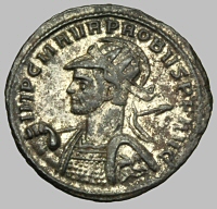 Bust E1
