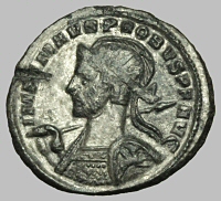 Bust E1