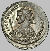 Bust H2